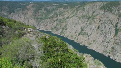 Vista aérea del Cañon del Sil Ribeira Sacra