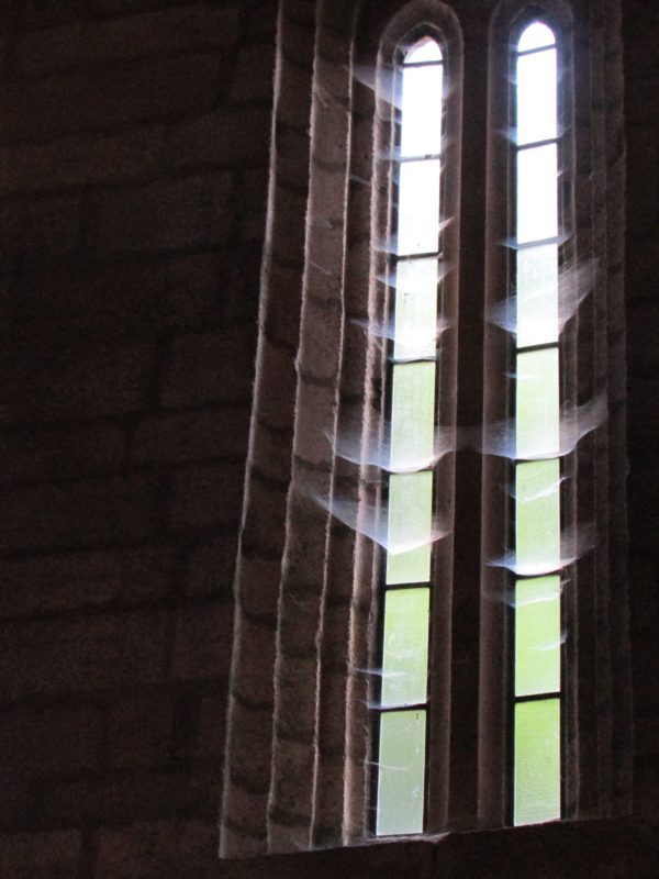 Monasterio de Santo Estevo - vidriera de la iglesia