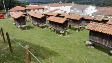 Conjunto de Hórreos en A Merca