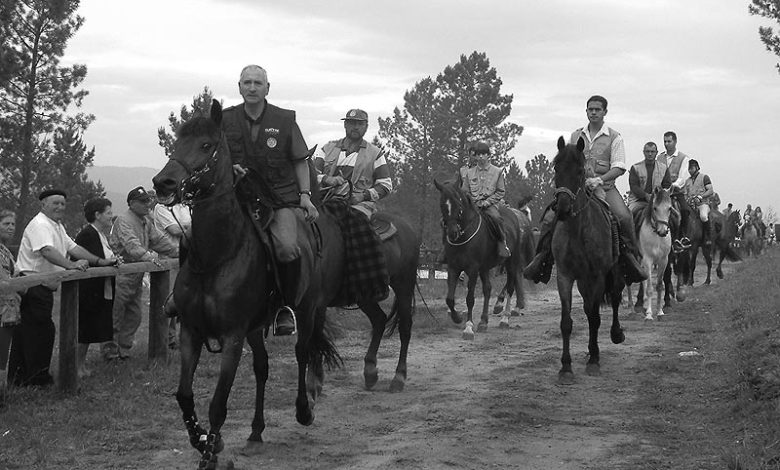 Fiesta caballo cartelle