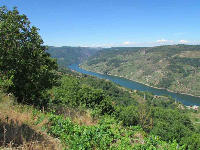 Vista de la Ribeira Sacra