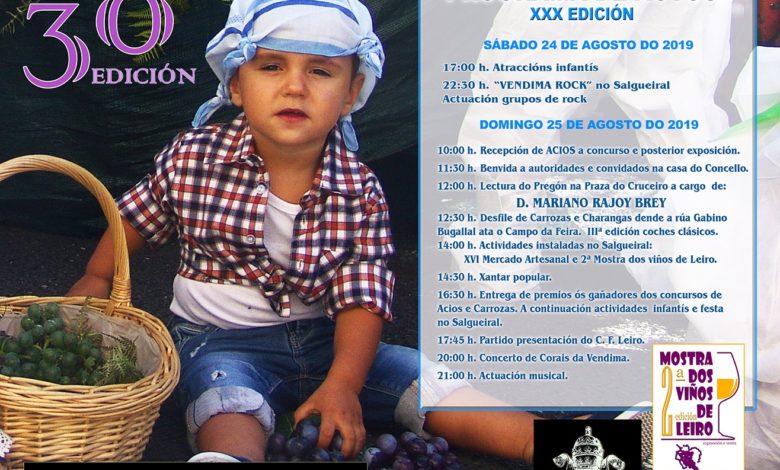 programa festa da vendima