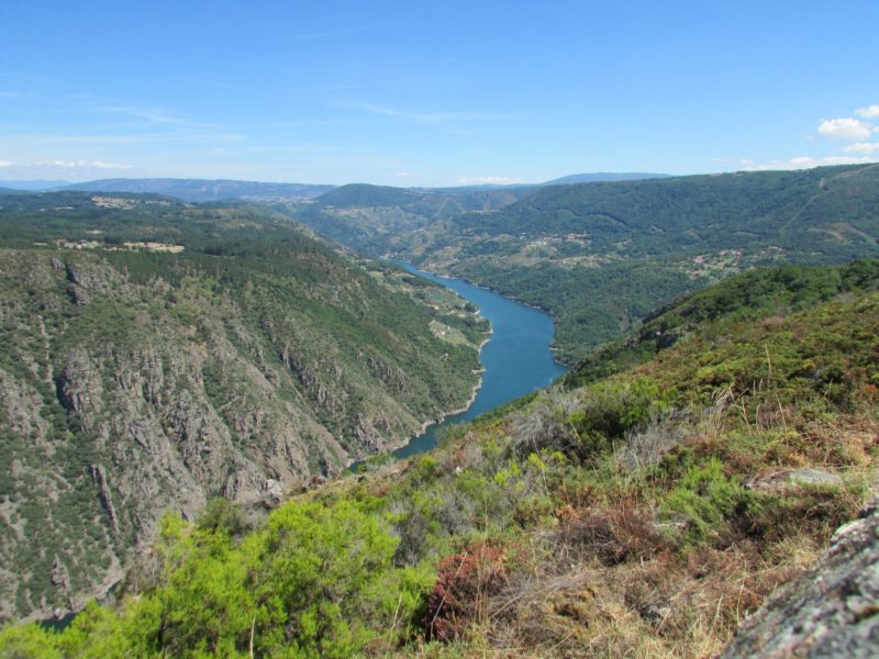 Record de Visitantes - Ribeira Sacra