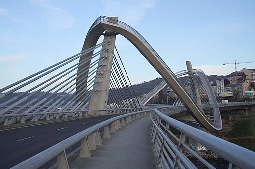Un mujer cae desde el Puente del Milenio