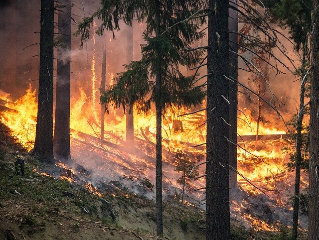 FAC-USO Galicia pide personal de prevención de incendios durante todo el año