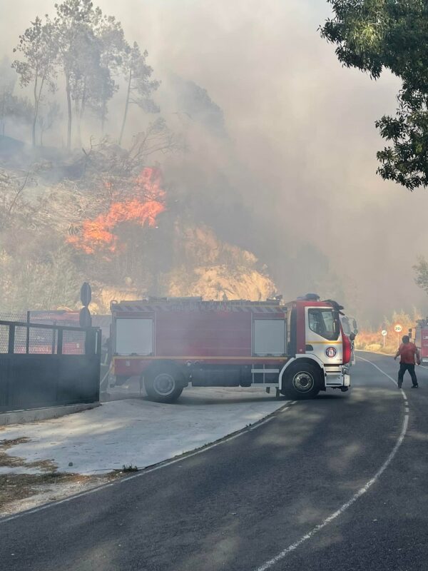 Controlado o incendio en Ribadavia que afectou unhas 30 hectáreas
