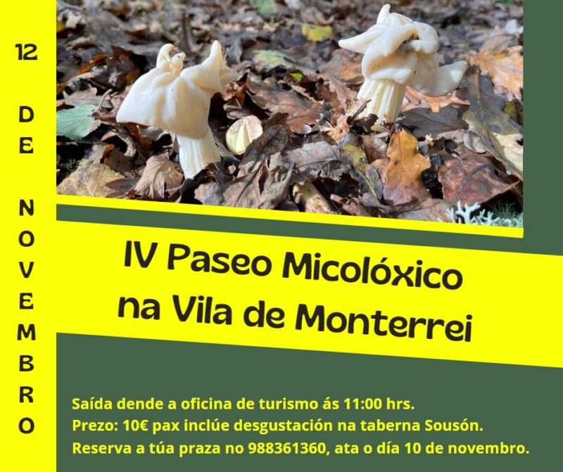 IV Paseo Micolóxico en Monterrei