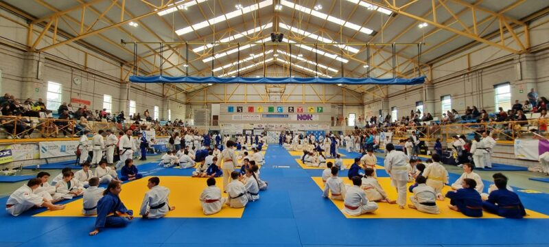 El Judo de Ourense destaca en Salceda de Caselas