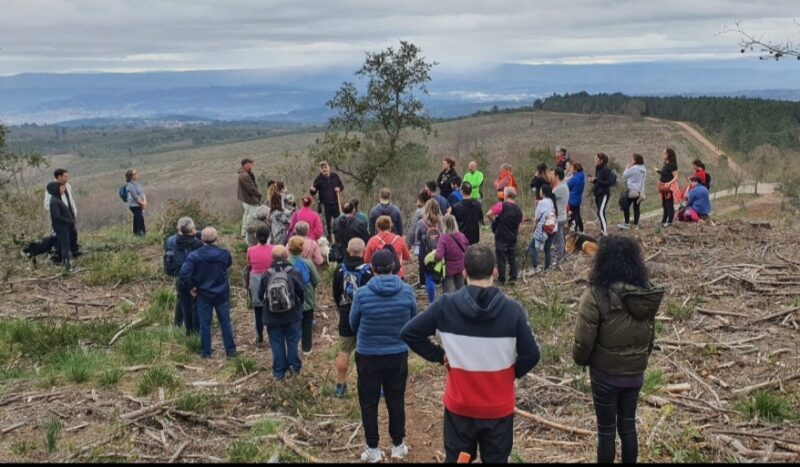 Comienzan las excavaciones en el Castro de Trelle