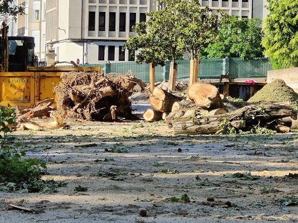 Asemblea veciñal en Ourense pola defensa do Xardín do Posío