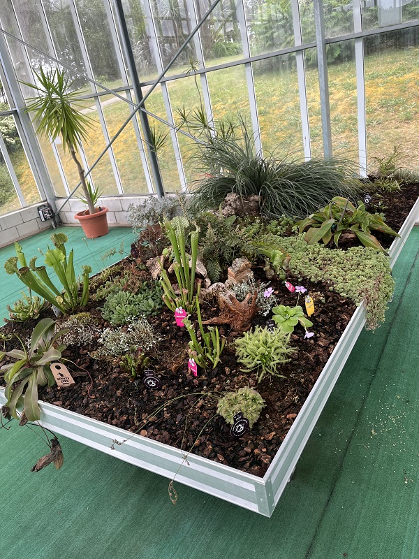 Ourense inaugura colección única de plantas carnívoras no Día do Medio Ambiente