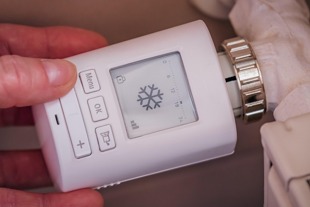 Cómo proteger tu hogar del calor con un refugio climático