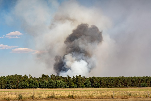 ¿Qué penas hay por provocar un incendio forestal en España?