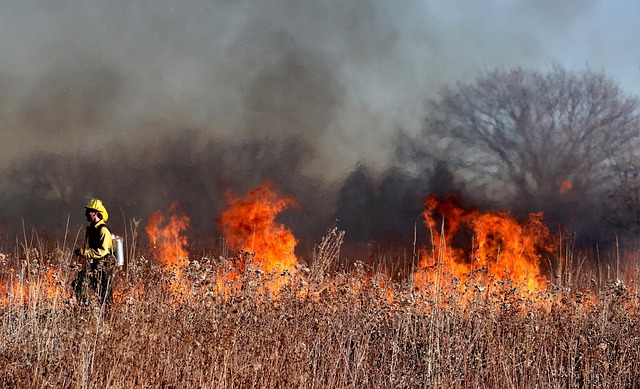 ¿Por qué arde el monte? Las claves ocultas tras los incendios forestales en España