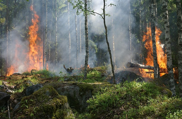 Galicia: del campo cuidado al monte que arde