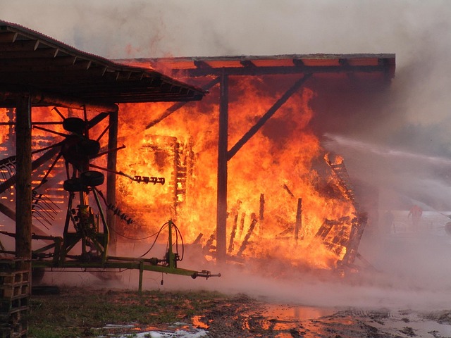 La factura tras los incendios en Ourense: un futuro en reconstrucción