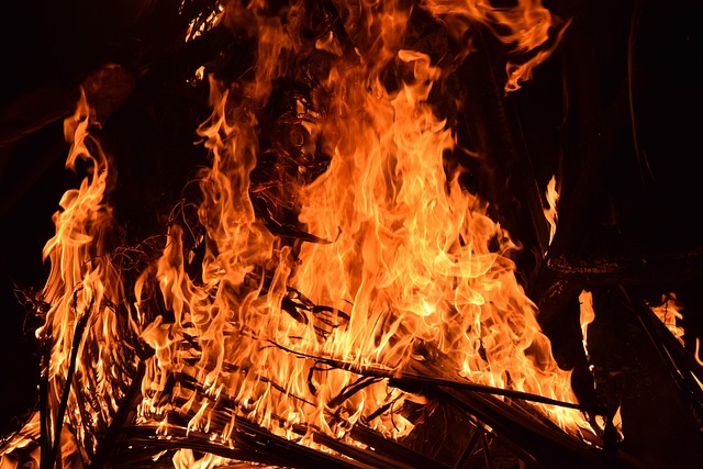 Galicia combate incendios que arrasan más de 39.000 hectáreas en Ourense