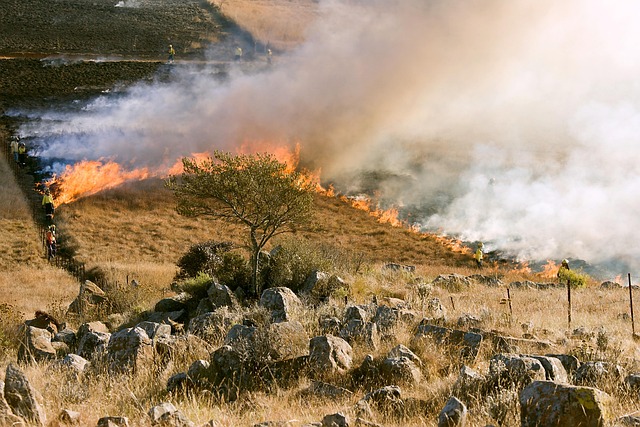 Vecinos en primera línea: la solidaridad que suple la falta de medios ante los incendios en Ourense