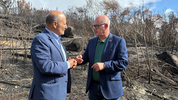 O Goberno activa en Carballeda un plan de restauración tras os incendios