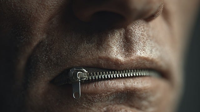 A liberdade de expresión: fundamento democrático, límites e desafíos actuais