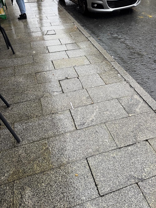 O PSOE denuncia o abandono da rúa Progreso en Ribadavia