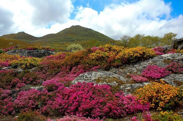 Colectivos ecoloxistas debaten na Boullosa sobre o futuro do Larouco